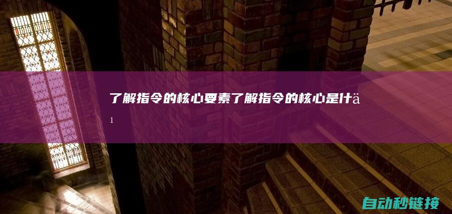 了解指令的核心要素 (了解指令的核心是什么)